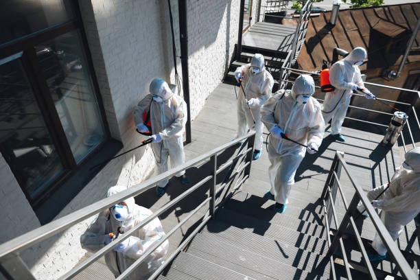 Asbestos and Lead Testing During Mold Inspection in Stratford, OK