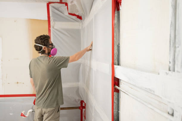 Best Basement Mold Removal  in Stratford, OK