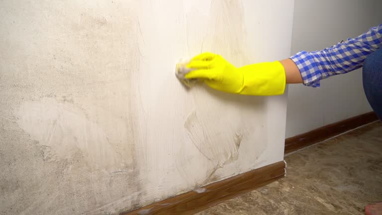 Best Mold Damage Restoration  in Stratford, OK