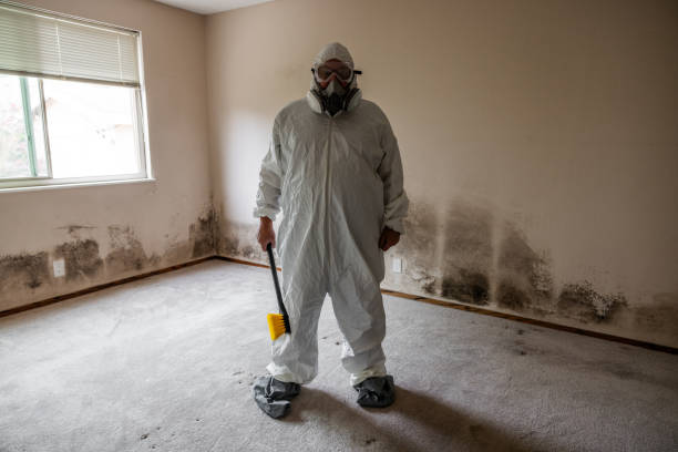 Mold Documentation for Insurance Claims in Stratford, OK